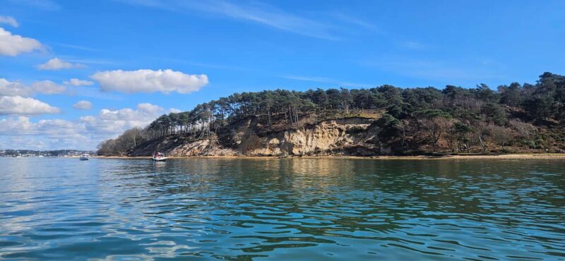 Poole Harbor: 2, 3, 4, 6, or 8-Hour Boat Rental Service - Practical considerations and tips