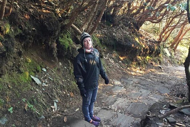 Poon Hill Circuit with Hot Spring Trek from Pokhara - Day 3: Sunrise at Poon Hill and Trek to Tadapani
