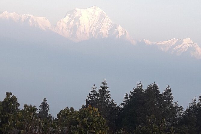 Poon hill Trek 3 days - An In-Depth Look at the Poon Hill Trek Experience