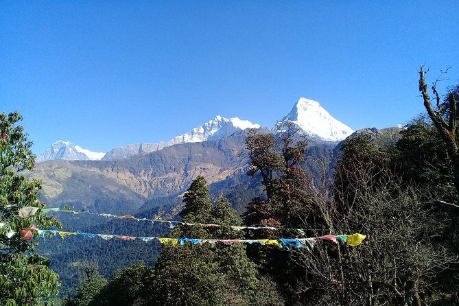 Poon Hill Trek - 5 Day / 4 Night (ex Kathmandu) - Daily Departure - A detailed look at the Poon Hill Trek Experience