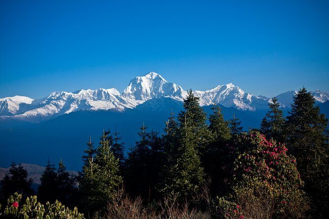 Poon Hill Trek From Pokhara - 3 Nights 4 Days - FAQ