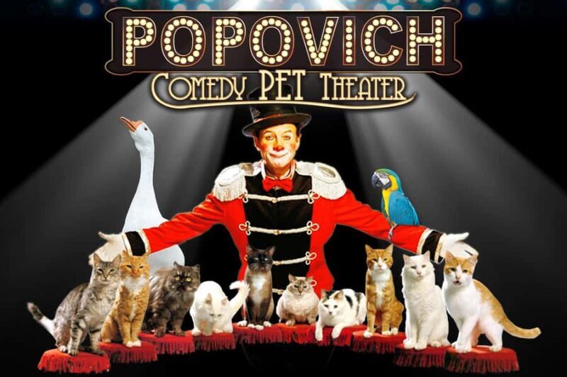 Popovich Comedy Pet Theater in Las Vegas - A Closer Look at the Popovich Comedy Pet Theater Experience