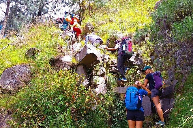 Popular Rinjani Trekking Tour Service To Summit For 2 Days Via Sembalun Trail - FAQ
