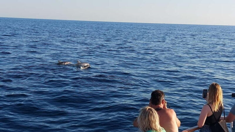 Pore: Sunset Dolphin Safari with Dinner and Drinks - Authentic Experiences from Travelers