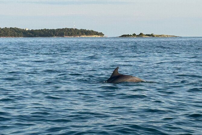 Porec Sunset Shared Cruise on Speedboat with Dolphin Sightseeing - FAQ