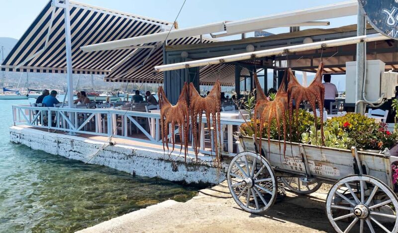 Poros Island: Full Day Trip From Athens with Swimming - Who Is This Tour Best For?