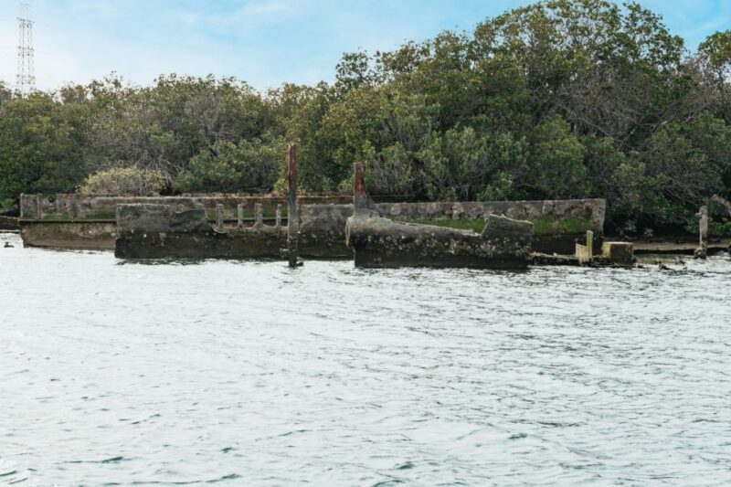 Port Adelaide: Dolphin and Ships Graveyard Cruise - Who Will Love This Tour?
