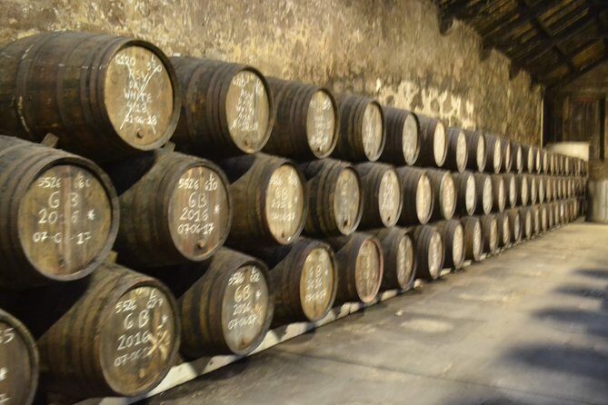 Port and Douro Wine Walking Tour With 10 Tastings - Final Thoughts