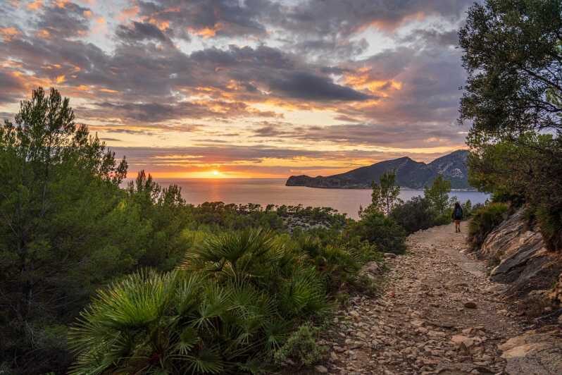 Port Andratx: Hiking Tour into the sunset to Sant Elm - Why This Tour Offers Great Value