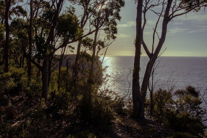 Port Arthur, Richmond and Tassie Devils Active Tour from Hobart - Frequently Asked Questions