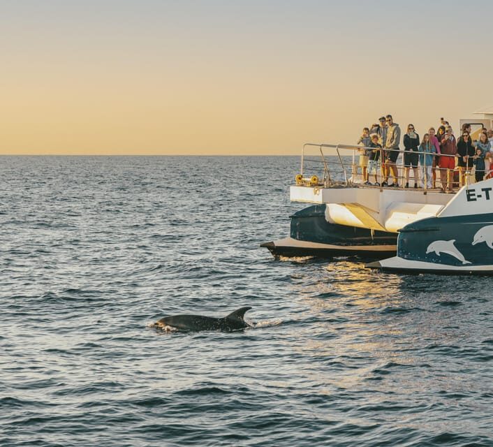 Port d'Alcudia: Sunrise at Sea & Dolphin Watching Boat Tour - Port dAlcudia: Sunrise at Sea & Dolphin Watching Boat Tour