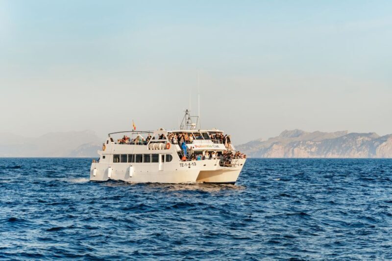 Port d'Alcudia: Sunrise at Sea & Dolphin Watching Boat Tour - Who Will Love This Experience?
