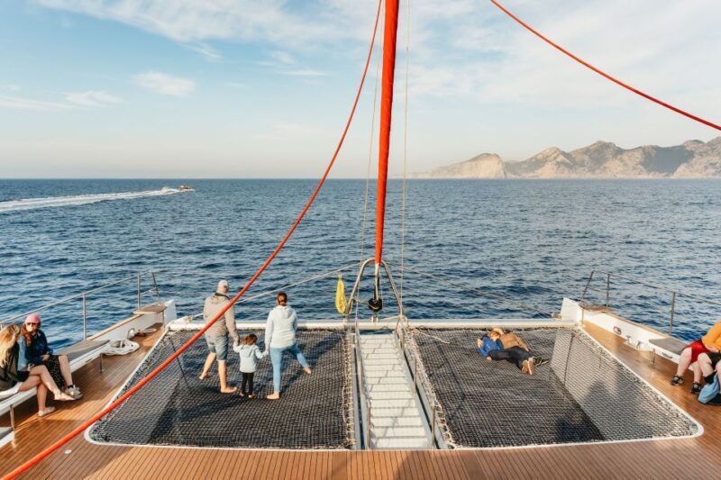 Port d'Alcudia: Sunrise at Sea & Dolphin Watching Boat Tour - Final Thoughts