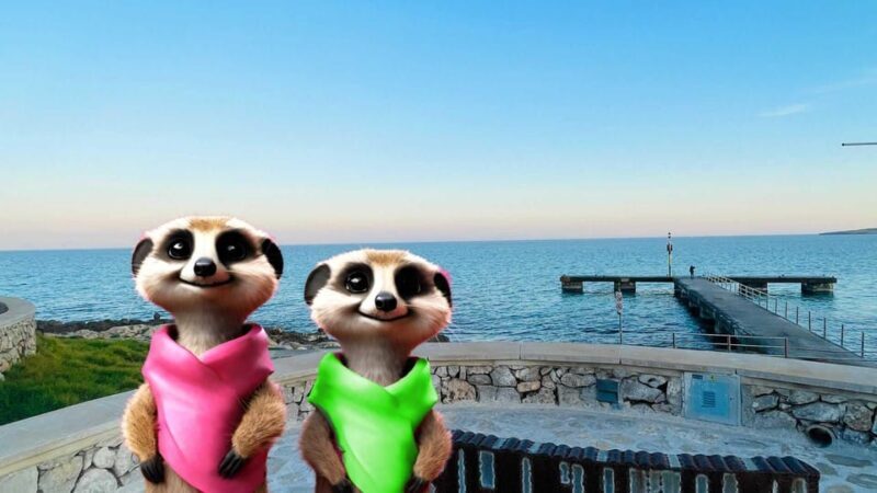 Port de Sóller: The Magical Creatures of Sóller, family game - Key Points