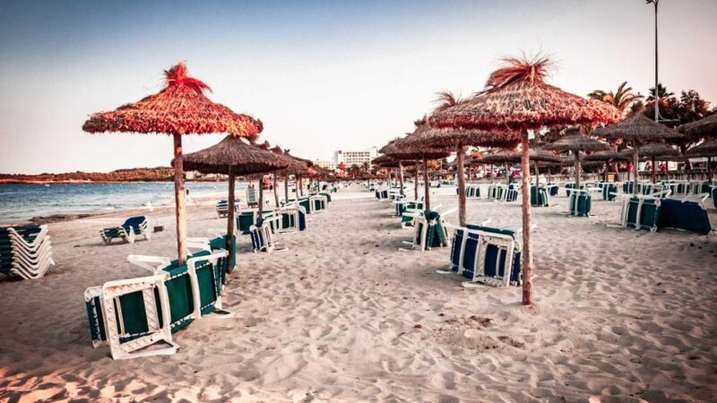 Port de Sóller: The Magical Creatures of Sóller, family game - What Makes This Tour Stand Out?