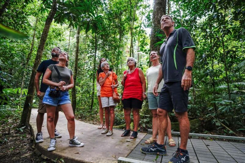 Port Douglas: Best of Daintree Rainforest Day Tour - Key Points