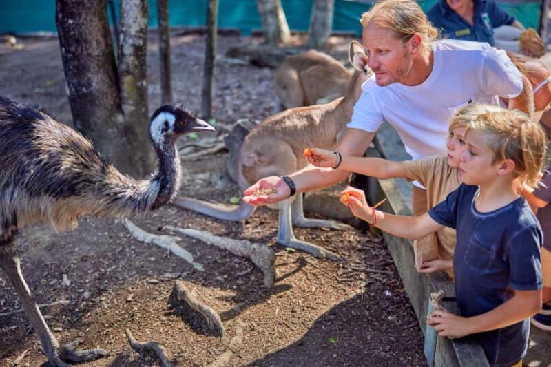 Port Douglas: Breakfast with the Birds - Key Points