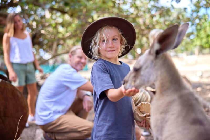 Port Douglas: Breakfast with the Birds - The Experience in Detail