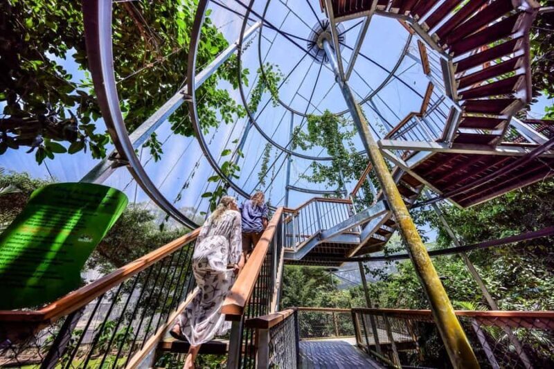 Port Douglas: Breakfast with the Birds - Authentic Insights from Reviewers