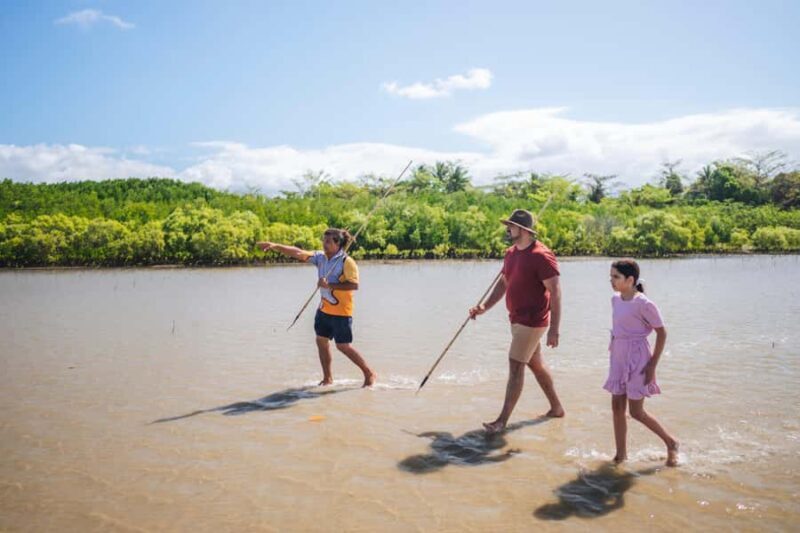 Port Douglas: Daintree Cultural Tour with Hotel Pickup - The Sum Up: Who Will Love This Tour?