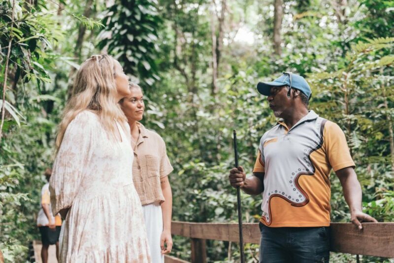 Port Douglas: Daintree Cultural Tour with Hotel Pickup - Final Thoughts