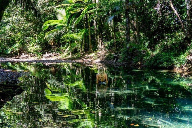 Port Douglas Daintree National Park Boutique Full-Day Tour - What the Tour Includes and Why It Matters