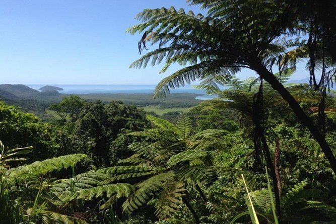 Port Douglas Daintree National Park Boutique Full-Day Tour - Who Would Love This Tour?
