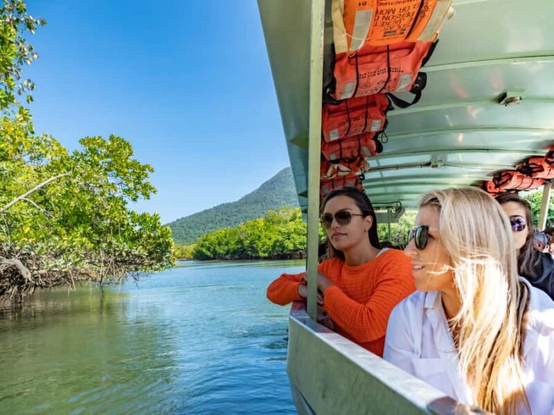 Port Douglas: Daintree National Park Tour, Cruise, & Zipline - Key Points