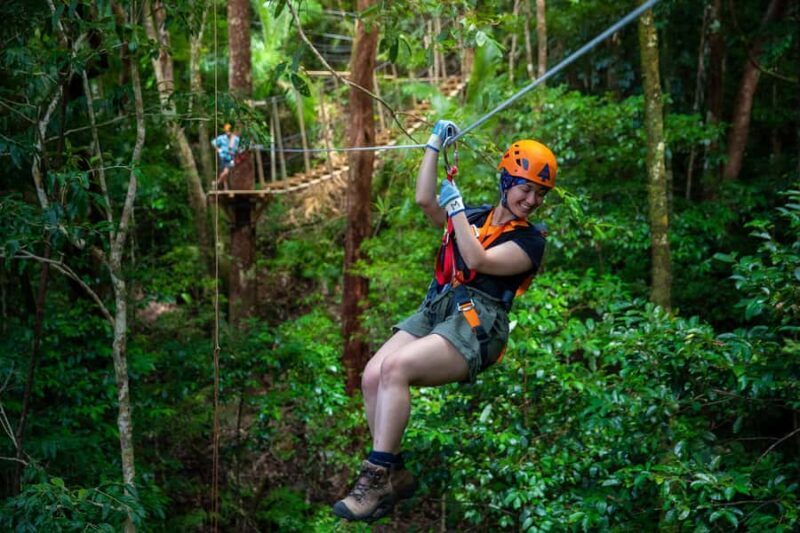 Port Douglas: Daintree National Park Tour, Cruise, & Zipline - Who Should Consider This Tour?