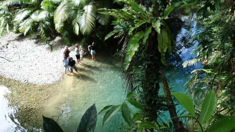 Port Douglas: Daintree Rainforest and Cape Tribulation Tour - The Complete Experience: What You Can Expect