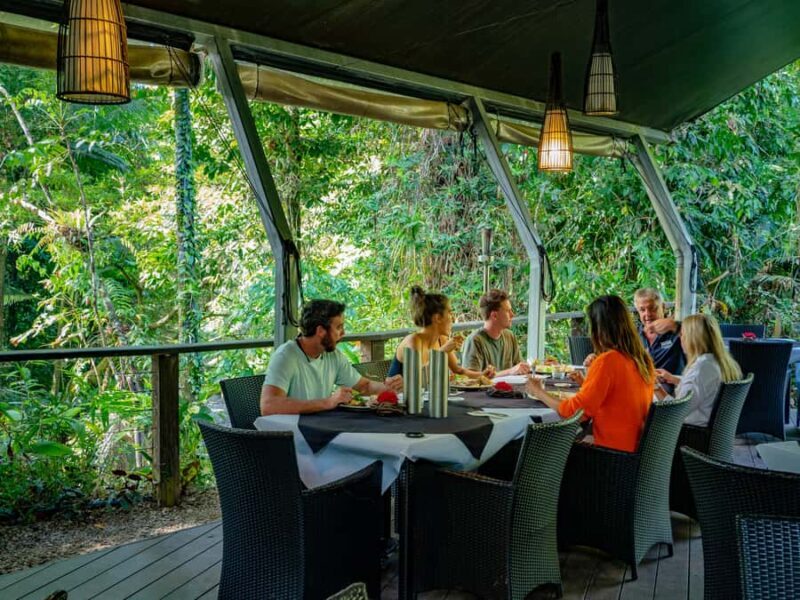 Port Douglas: Daintree Rainforest and Cape Tribulation Tour - Frequently Asked Questions