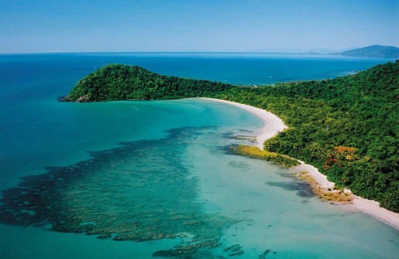 Port Douglas: Daintree Rainforest and Mossman Gorge Tour - Key Points