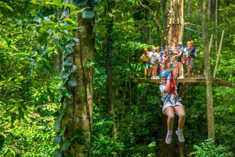 Port Douglas: Daintree Rainforest Canopy Ziplining Tour - FAQ