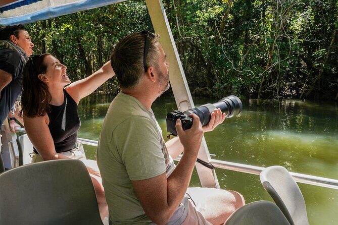 Port Douglas & Daintree Tour for Cruise Ship Passenger - Final Thoughts: Is This Tour Worth It?