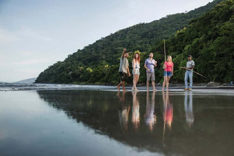 Port Douglas: Full Day Daintree Cultural Tour with Lunch - Practical Tips for Your Day Out