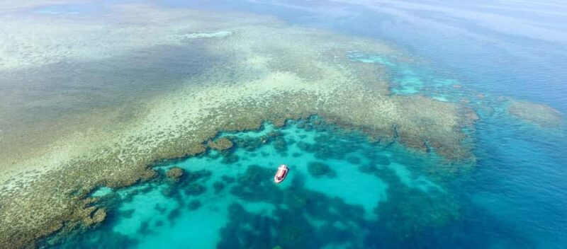 Port Douglas: Half Day Outer Reef Snorkelling Tour - Key Points