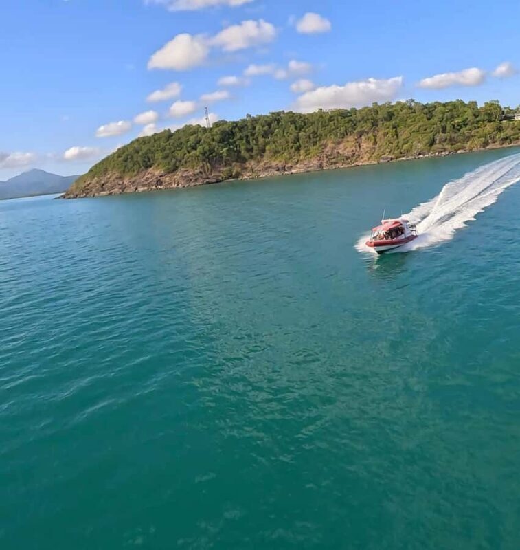 Port Douglas: Half Day Outer Reef Snorkelling Tour - A Deep Dive into the Experience
