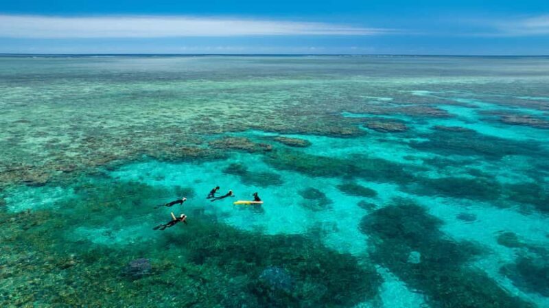 Port Douglas: Just 12 Passengers Guided Snorkel Reef Cruise - An In-Depth Look at the Tour