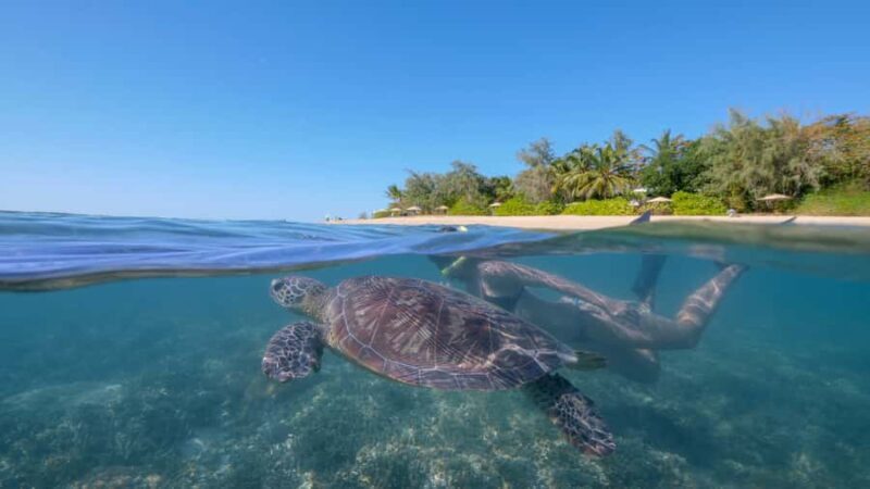 Port Douglas: Low Isles Glass Bottom Boat & Snorkeling Tour - Key Points