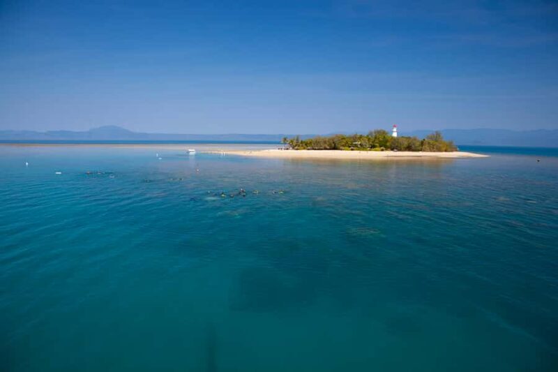 Port Douglas: Low Isles Glass Bottom Boat & Snorkeling Tour - Authentic Insights from Reviews