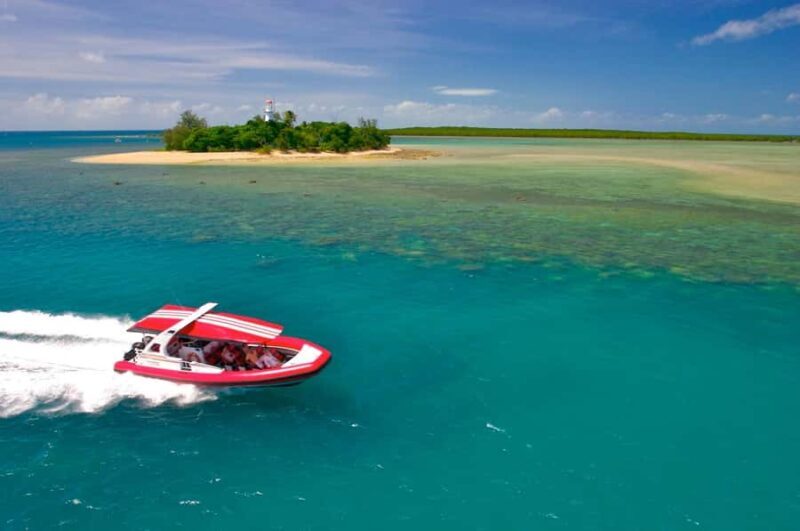 Port Douglas: Low Isles Reef Snorkeling Tour - Key Points
