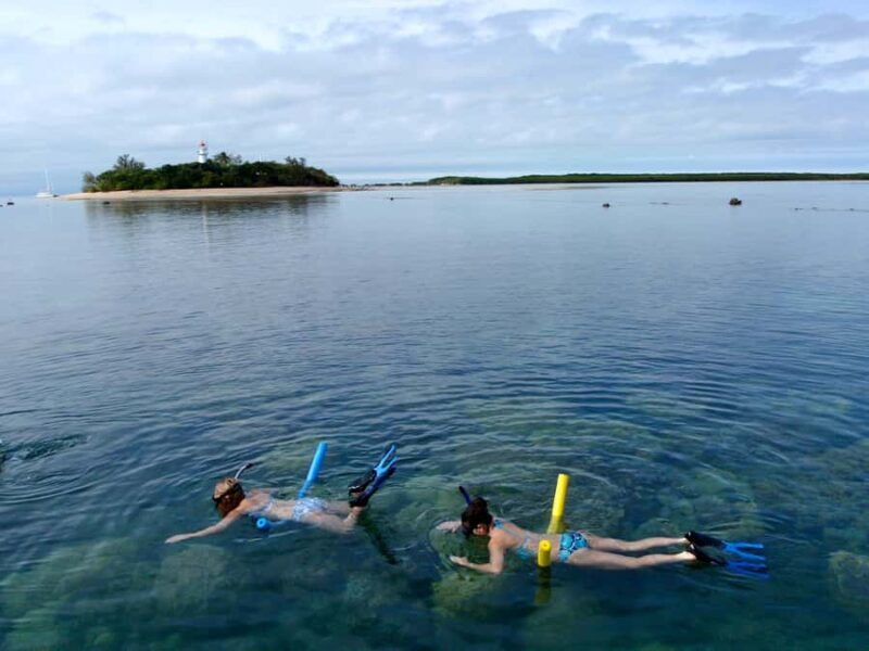 Port Douglas: Low Isles Reef Snorkeling Tour - Practical Tips for Travelers