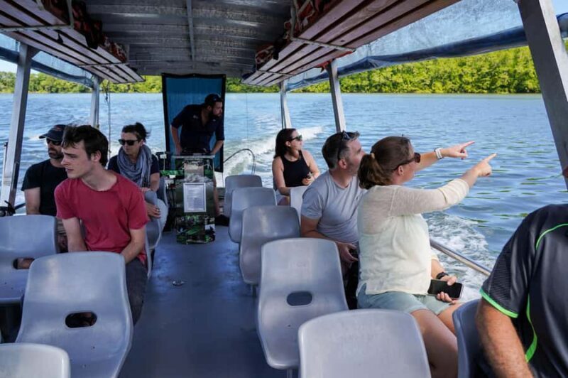 Port Douglas: Morning Daintree Tour w/ Wildlife Cruise - Authentic Experiences and What Travelers Say