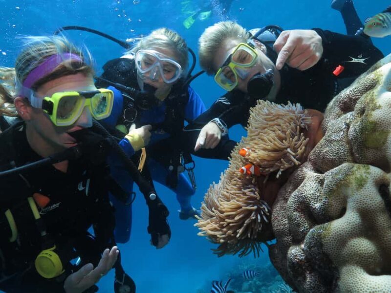 Port Douglas: Outer Barrier Reef Cruise & 10 Min Helicopter - Additional Activities and Options