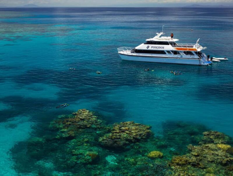 Port Douglas: Poseidon Outer Barrier Reef Dive and Snorkel - The Sum Up: Is It Worth It?