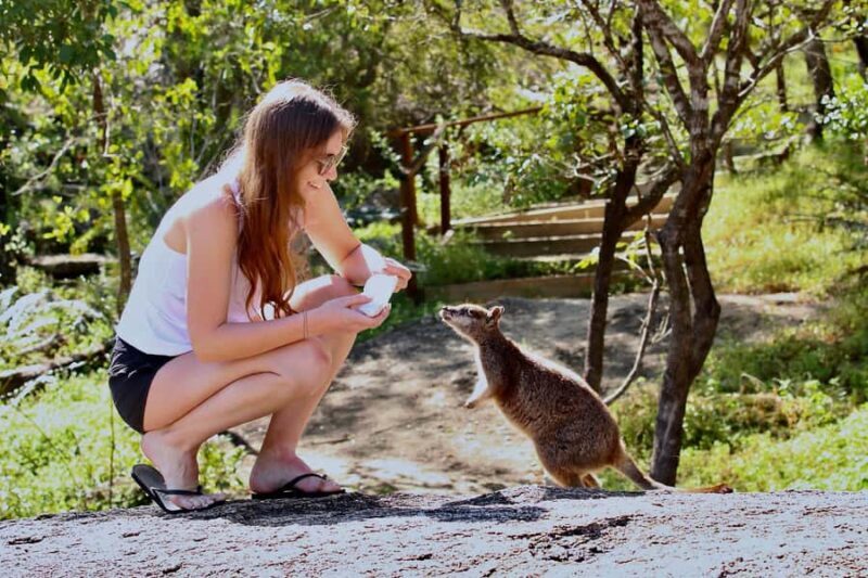 Port Douglas : Private Guide WILDLIFE Safari - Key Points