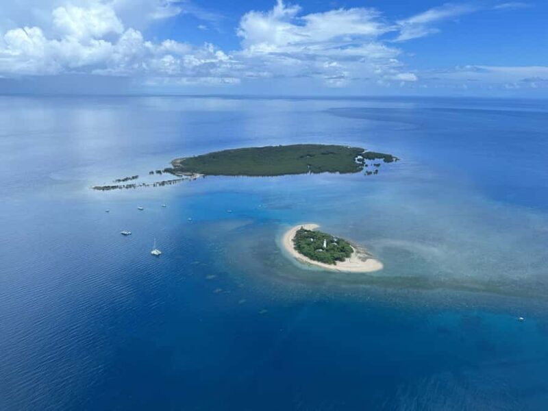 Port Douglas: Reef & Low Isles Cruise on Luxury Catamaran - Informed by the Reviews