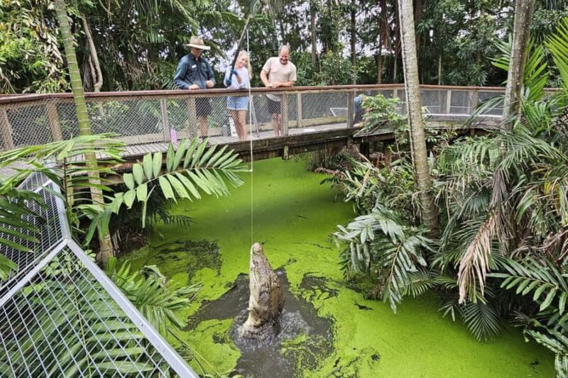 Port Douglas: Wildlife Habitat Croc Feed Experience & Entry - Who Would Love This Tour?