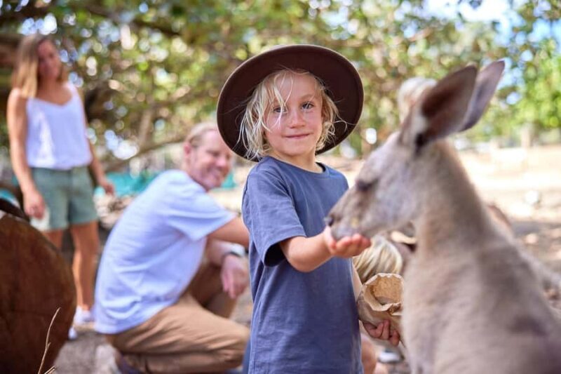 Port Douglas: Wildlife Habitat Entrance Ticket - Key Points