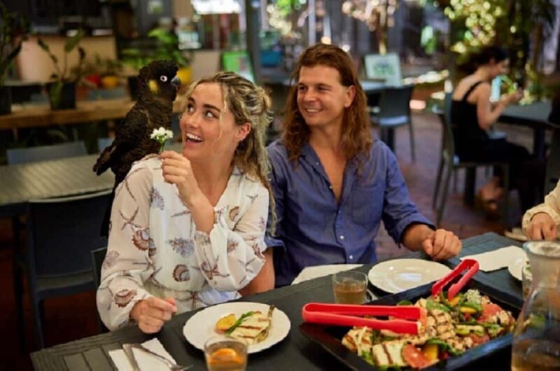 Port Douglas: Wildlife Habitat Entrance Ticket - An In-Depth Look at the Wildlife Habitat Experience